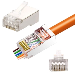 Confezione 100 Plug...