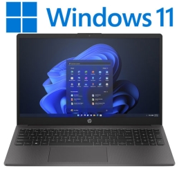 Notebook 15,6" HP 250 G10 W11P