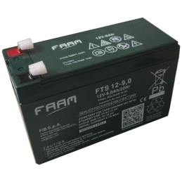 Batteria AGM 12V 9Ah FAAM...